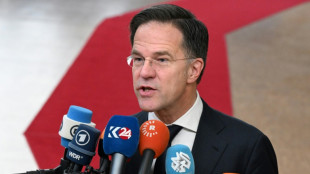 UK 'strongly' backs Dutch PM Mark Rutte as next NATO chief