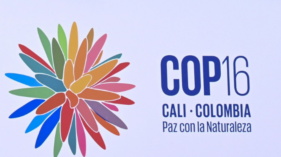 'Paz com a natureza': uma COP16 sob ameaça guerrilheira na Colômbia