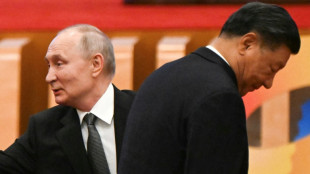 Putin to visit Beijing, meet Xi this week