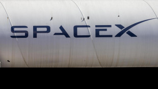 SpaceX, la capsula di Starship 'incendiata e distrutta'