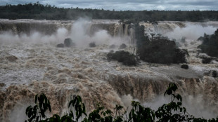 Les chutes d'Iguazu enregistrent un débit dix fois supérieur à la normale