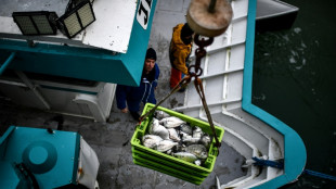 WTO braces for battles on fisheries, agriculture in UAE talks