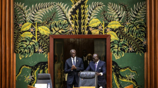 Senegal should vote at end of March after weeks of crisis 