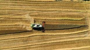 WWF kritisiert EU-Förderungen für "naturschädliche Aktivitäten"