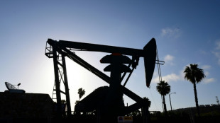 Oil prices, US jobs data weigh on stocks