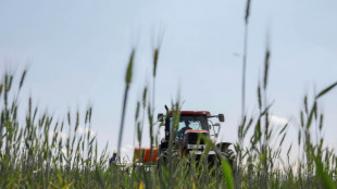 Einkommen von Landwirten steigen deutlich - Özdemir will weniger Bürokratie