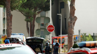 Synagogue de La Grande-Motte: le suspect est un Algérien en situation régulière 