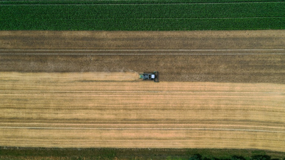 Anstieg der Erzeugerpreise in der Landwirtschaft erreicht neuen Rekord