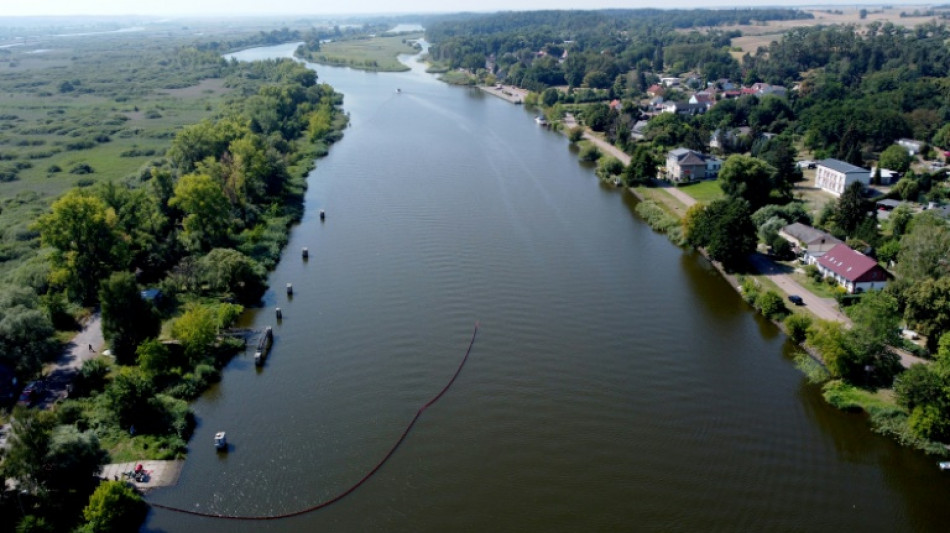 Erneut starker Algenwuchs in Oder - Sorge vor neuem Fischsterben