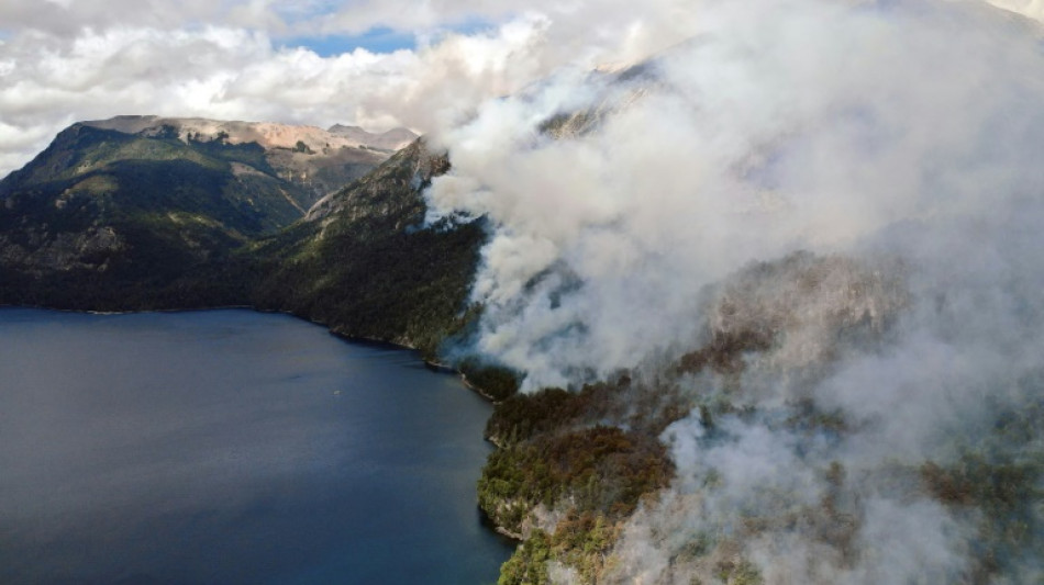 Avançam incêndios em florestas nativas da Patagônia argentina