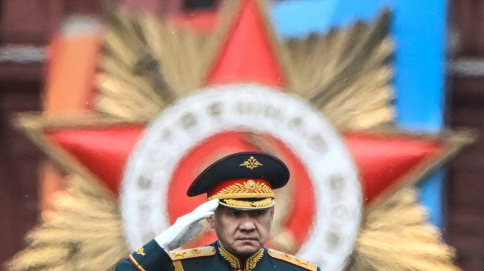 Putin removes defence minister Shoigu