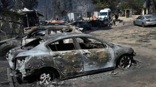 Feux de forêt au Chili: au moins 19 morts dans la cité balnéaire de Viña del Mar