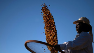 Black farmers in Brazil changing views on coffee production