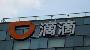 China's ride-hailing giant Didi to halt Hong Kong listing: report