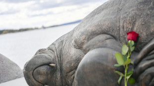 Sculpture of euthanised walrus Freya unveiled in Oslo fjord