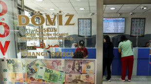 Turquie: l'inflation se stabilise et reste sous les 80% en juillet